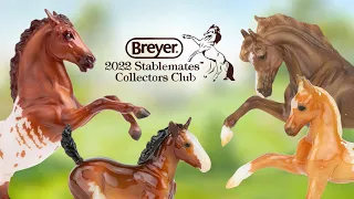 Распаковка Breyer stablemates club | Twist, Dax, Leti & Addie