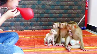 4 Little Donal Molly Zuji & CC Orderly-Sitting Wait Mum Blow Balloon For Them Play