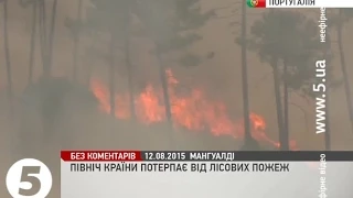 Масштабні лісові пожежі на півночі Португалії