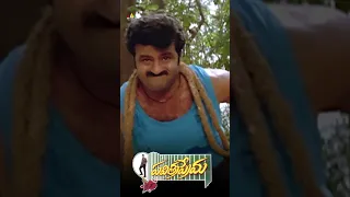 Balakrishna Mass Entry | #PavitraPrema | #shorts | #youtubeshorts | #SriBalajiVideo