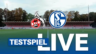 TESTSPIEL LIVE  | 1. FC Köln - FC Schalke 04