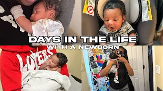 DAYS IN THE LIFE WITH A NEWBORN 👶🏽 | doctor appointment, solo parenting, cleaning bottles