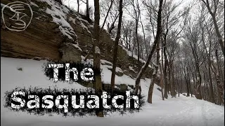The Sasquatch | Original Creepypasta (Bigfoot Series Part 1)