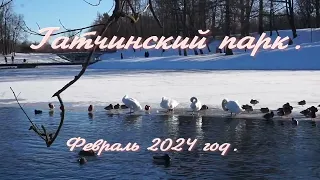 Гатчинский дворцовый парк. 18 февраля 2024 год.Скоро весна!