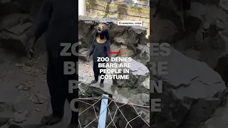 Zoo denies bears are people in costume