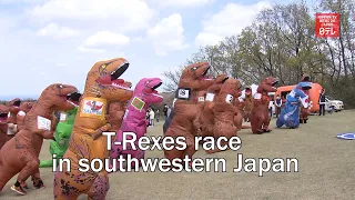 T Rexes race in southwestern Japan