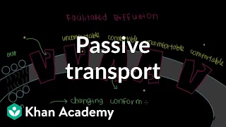 Passive Transport by Facilitated Diffusion | Cells | MCAT | Khan Academy