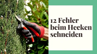 12 Fehler, die Sie beim Hecke schneiden vermeiden sollten