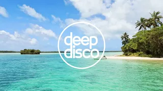 Pete Bellis & Tommy - Lesson (Paul Lock Remix)