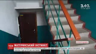 На Кіровоградщині поліція знайшла у морозилці породіллі тіла новонароджених