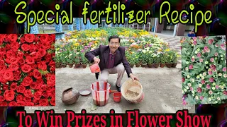 Stole the Recipe for Special Liquid fertilizer from Nurserymen who won prizes in flower Show