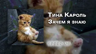 Тина Кароль - зачем я знаю [speed up]