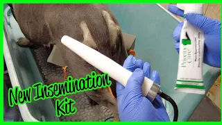 Our New insemination Kit
