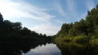 Сплав и рыбалка на реке Бобровка 26.07.2018