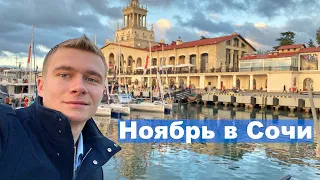 Какой Сочи в ноябре? Осень в Сочи | #Сочи в ноябре