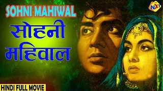 Sohni Mahiwal 1958 (सोहनी महिवाल) Hindi Full Movie |Bharat Bhooshan, Nimmi, Om Prakash | TVNXT HINDI