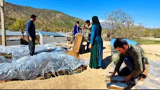 Spreading plastic on the roof of the shelter and pouring soil on the roof of the shelter