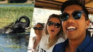 218 | BOTSWANA'S CHOBE NATIONAL PARK!!! (South Africa Travel VLOG)