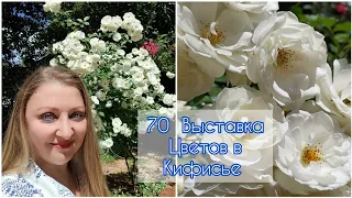 70я Выставка Цветов в Кифисье🌳 #выставка #выставкацветов #кактусы #цветы