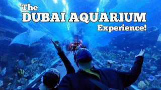 Exploring Dubai Aquarium and Underwater Zoo! | The Dubai Mall