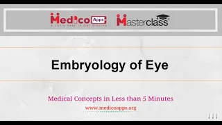 NEET PG-Embryology of Eye-Ophthalmology