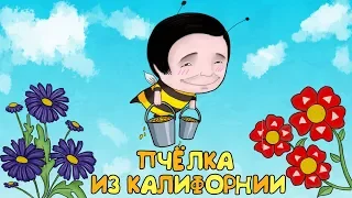 ПЧЁЛКА ИЗ КАЛИФОРНИИ (ПРЕМЬЕРА КЛИПА, 2019)