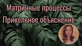 Транскрипция и трансляция ЕГЭ