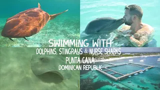 Swimming with Dolphins, Stingrays & Nurse Sharks in Punta Cana, Dominican Republic.