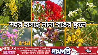যান্ত্রিক জীবনে স্বস্তির সুবাস গ্রীষ্মের ফুলে | Flower in City | Dhaka | Ekhon TV