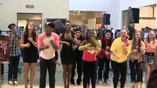 Party Rock Anthem Mall Flash Mob by Todrick Hall