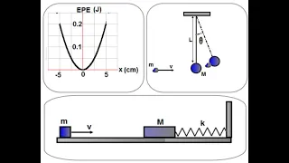 AP Physics 1 - Waves And Oscillations 3 - Practice Questions