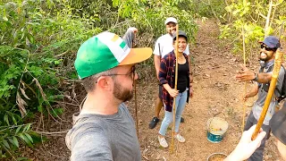 India's best cashew farmer 🇮🇳 Foreigners farm deez nuts in Goa