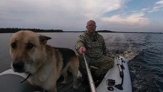 Рыбалка в Карелии на таёжном озере. Что нам ветер, что нам зной, что нам дождик проливной...