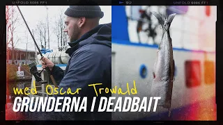 Så fiskar du bäst gädda med deadbait