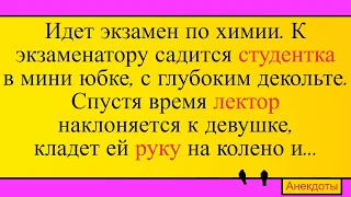 Студентка в мини юбке и лектор... Лучшие длинные анекдоты и жизненные истории