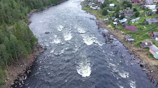 ЛОВИМ ГОРБУШУ, ХОД  ЗАКАНЧИВАЕТСЯ  / THE COURSE OF THE PINK SALMON ENDS