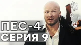 Сериал ПЕС - 4 сезон - 9 серия - ВСЕ СЕРИИ смотреть онлайн | СЕРИАЛЫ ICTV