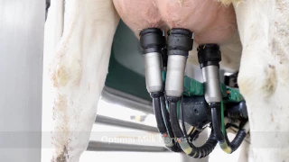 GEA Dairy Farming - GEA Monobox | Automated Milking_EN