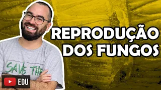 Reprodução dos Fungos - Aula 11 - Módulo IV: Microbiologia, Fungos e Protistas | Prof Gui