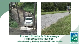 Fifteen Minutes in the Forest: Forest Roads & Driveways