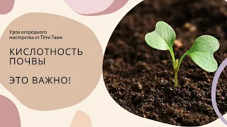 439. Кислотность почвы,  это важно для растений. Даже слишком...