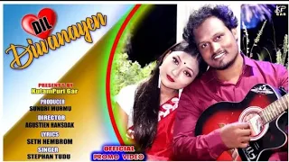 Dil diwanayen / New santali video 2022 / Sefali  Hembram / Stephen Tudu