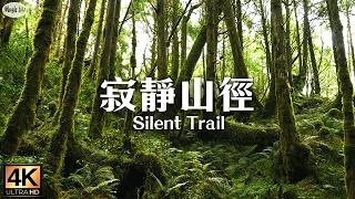 Forest Healing 2 Cueifong Lake Circular Trail. Taiwan's quietest mountain trail Relaxing piano music
