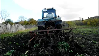 Культивирую огород на МТЗ-80 после ремонта!