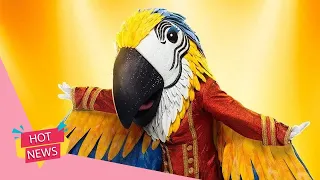 The Masked Singer: Macaw Identity Prediction & Clues