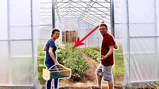 We Were SHOCKED by What Happened in the GreenHouse (In 1 WEEK!)