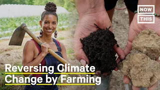 How Regenerative Farming Can Help Combat the Climate Crisis | NowThis Earth