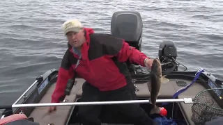 How to Lindy Rig for Spring Walleye