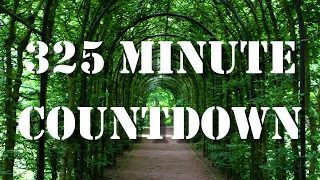 325 minute timer countdown with alarm sound effect