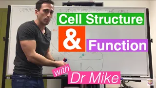 Cell Structure and Function